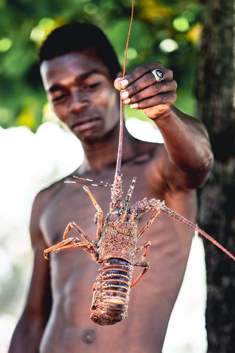 Man with spiny lobster in Madagascar