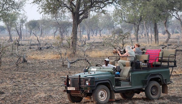 Professional photographic safaris offer unique opportunities for capturing the best of Africa