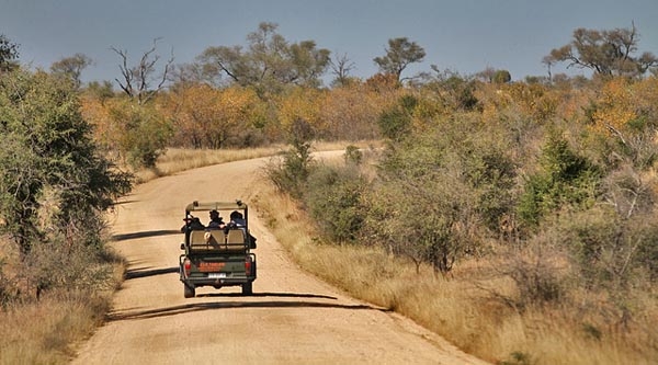 Self-drive safari: should you fear for your safety?
