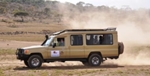 Safari Trackers Adventure 