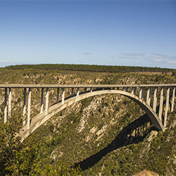 Bungee jumping