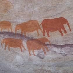 Bushman | tribal visits