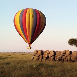 Hot air balloons