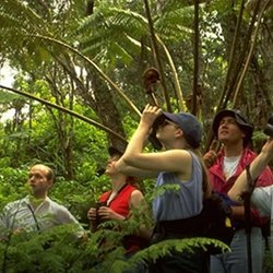 Walking safari—with armed guard