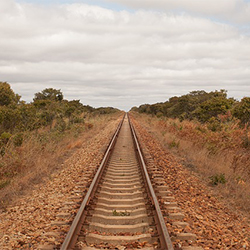 Train safari