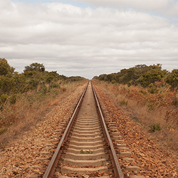 Train safari