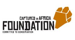 Captured in Africa