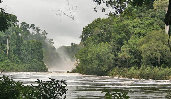 Gabon's paradise rainforest - but where are the tourists?