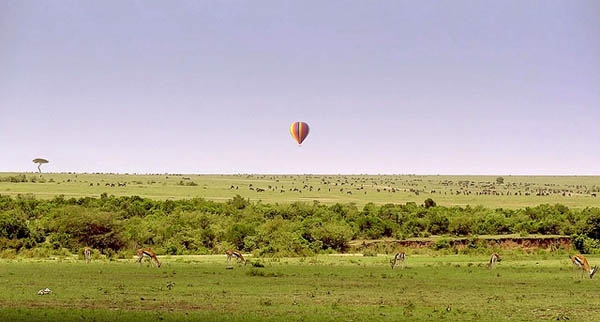 Kenya awarded as Africa’s leading national park destination