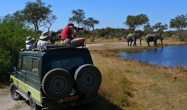 Always adhere to your guide's safety precautions, no matter how tempting Africa's wildlife seems!