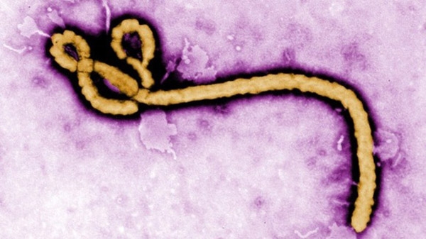 Get credible information about the Ebola virus before you think of canceling your trip to Africa