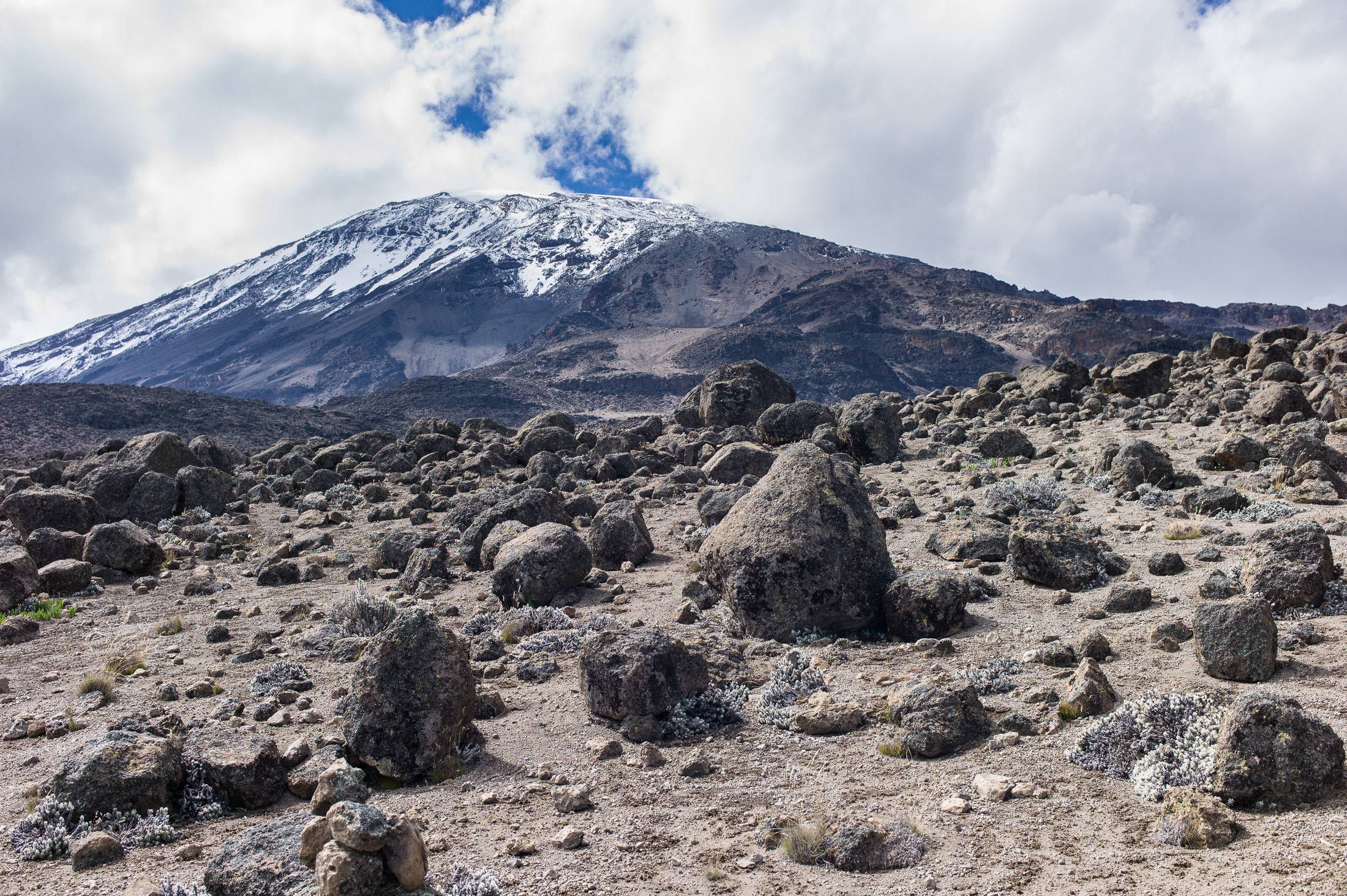 Summit of Mount Kilimanjaro seen from the Northern Circuit