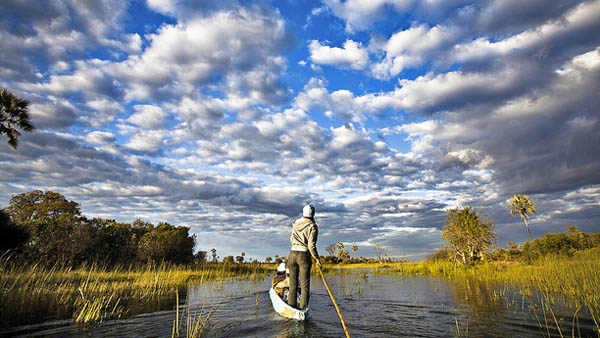 Mokoro expeditions: getting very close to the Okavango Delta wildlife and environs