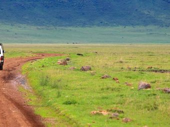 4 Days Safari to Lake manyara, Serengeti and Ngorongoro