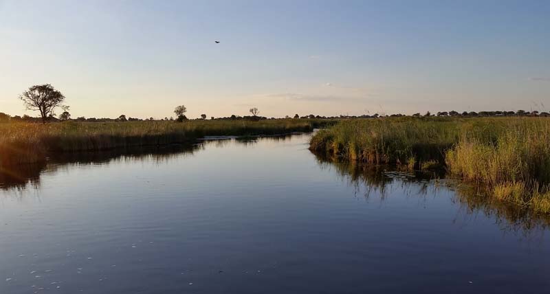 Okavango Tours & Safaris