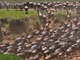 See the fascinating wonders of nature in Tanzania