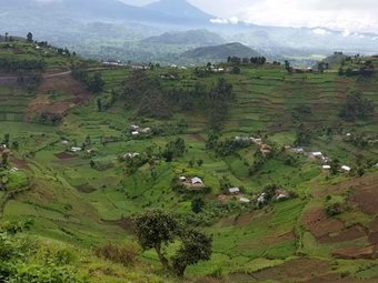 trekking in bwindi national park , whereby you will see gorillas . species of birds, nature forest.cultural walk.and others