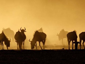 5 Day Panoramic & Ndzuti Camp Tour