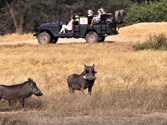 3 in 1 - Greater Kruger Park, Cape Town & Victoria Falls