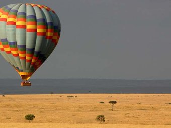 In Tanzania we have all the big five animals and small five too.