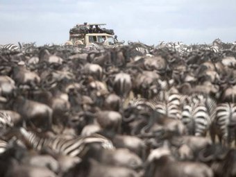 5 days Serengeti Migration Safari