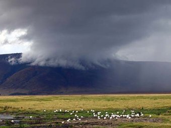 10 day The Best of Tanzania Safari