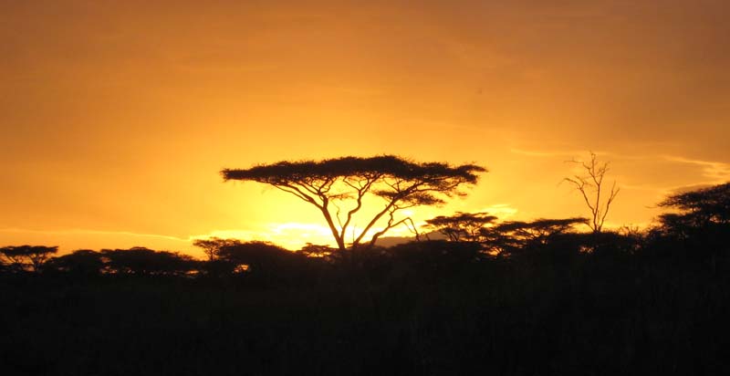 Trails Of East Africa