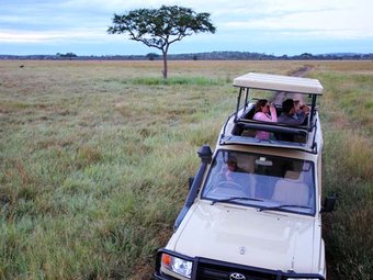 3 days Masai mara camping safaris