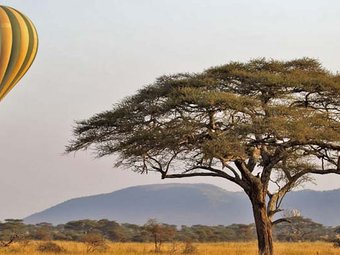 Mount Kilimanjaro Climbing