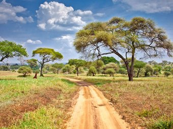 4-Day Tanzania Safari Express