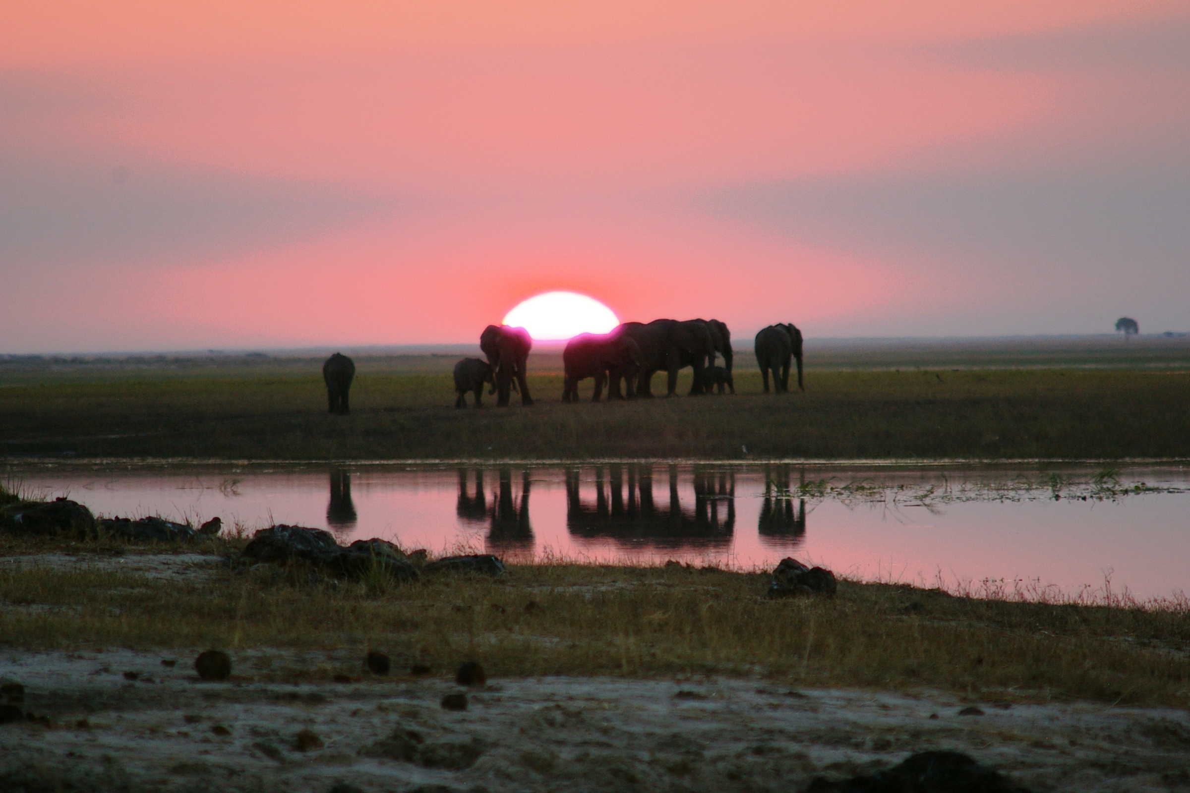 Camping Safari through Kafue National Park