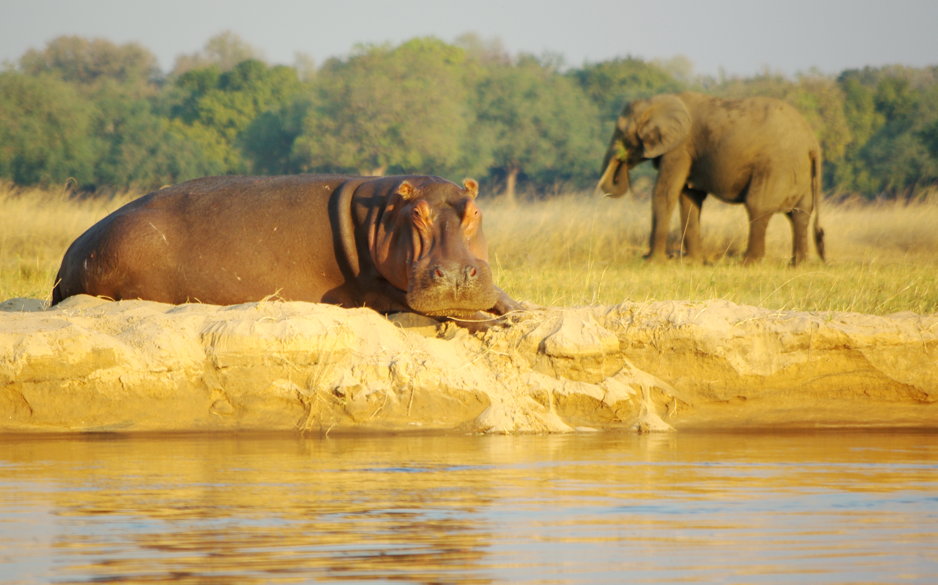 Visit Lower Zambezi and South Luangwa National Parks
