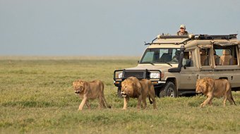 Tour package image