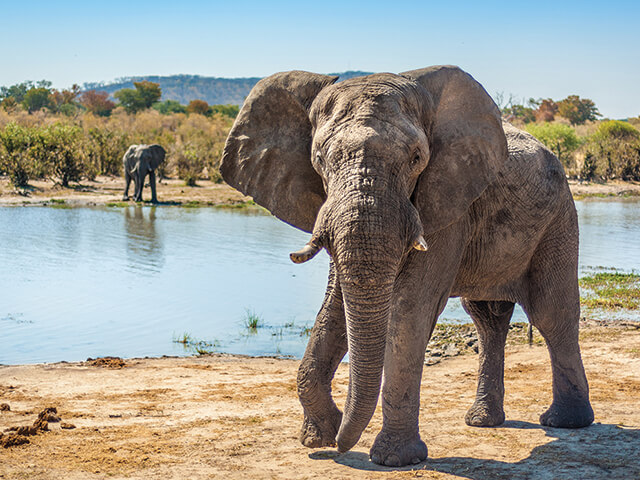 7-Day Botswana Okavango Delta + Moremi Safari