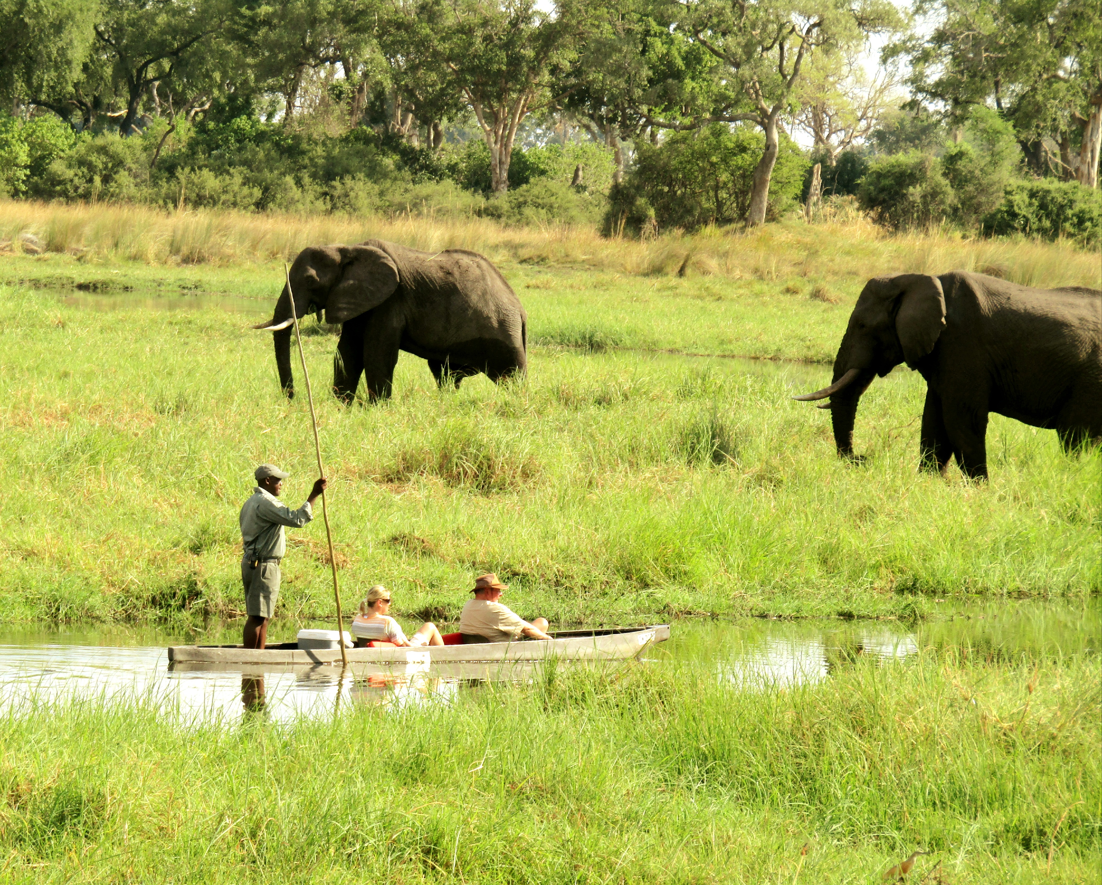 Experience the waterways of the Heritage site Okavango delta in Moremi game reserve on a mokoro with a local guide.