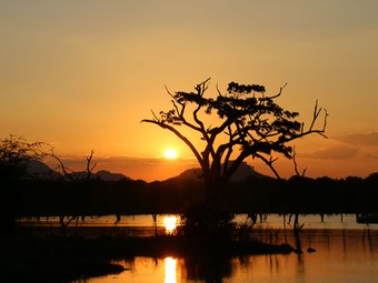 Spend some quality time soaking up all that one of the most scenically beautiful African bushscapes that Southern Africa has to offer.