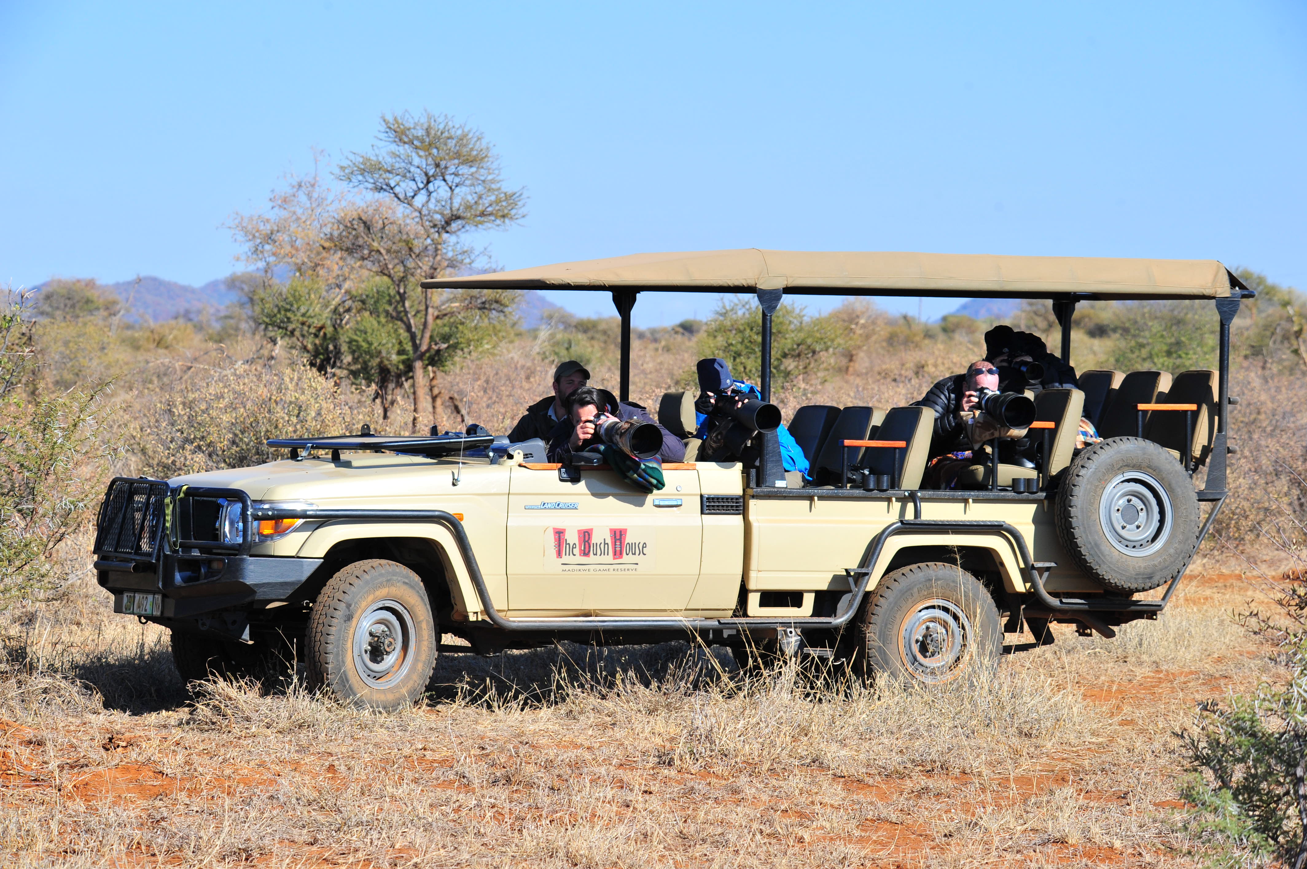 Wildlife Safaris