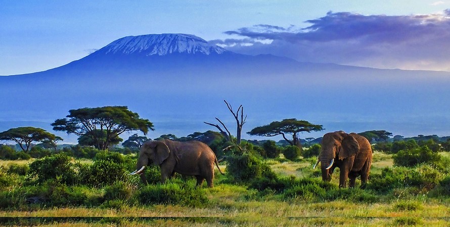 A premier safari offers you a chance to visit 4 of Kenya’s premier safari destination.