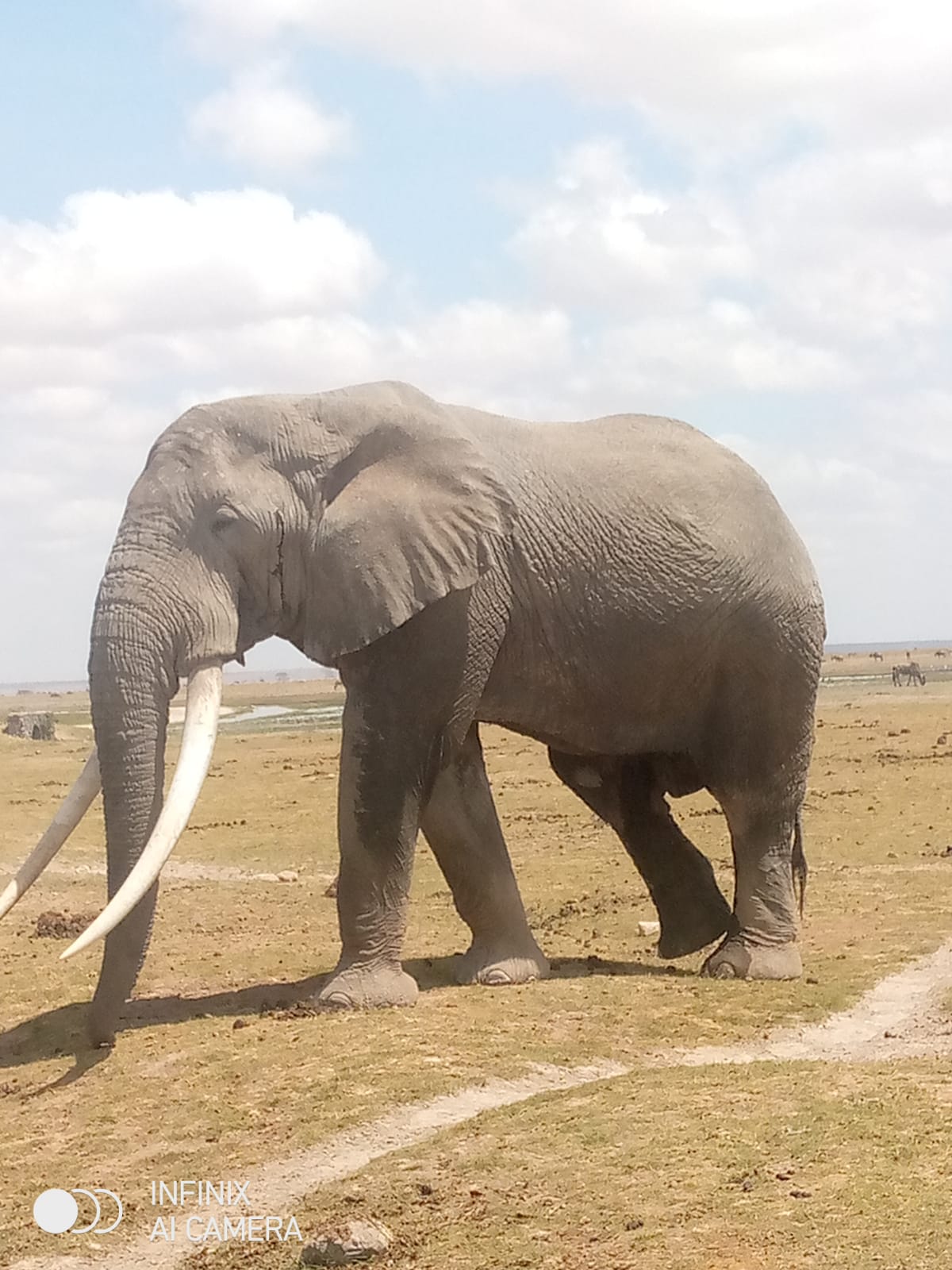 Maasai Mara  National Park ,Lake Nakuru National Park and Great Rift Valley