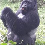 Mgahinga National Park