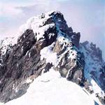 Mountain Rwenzori National Park