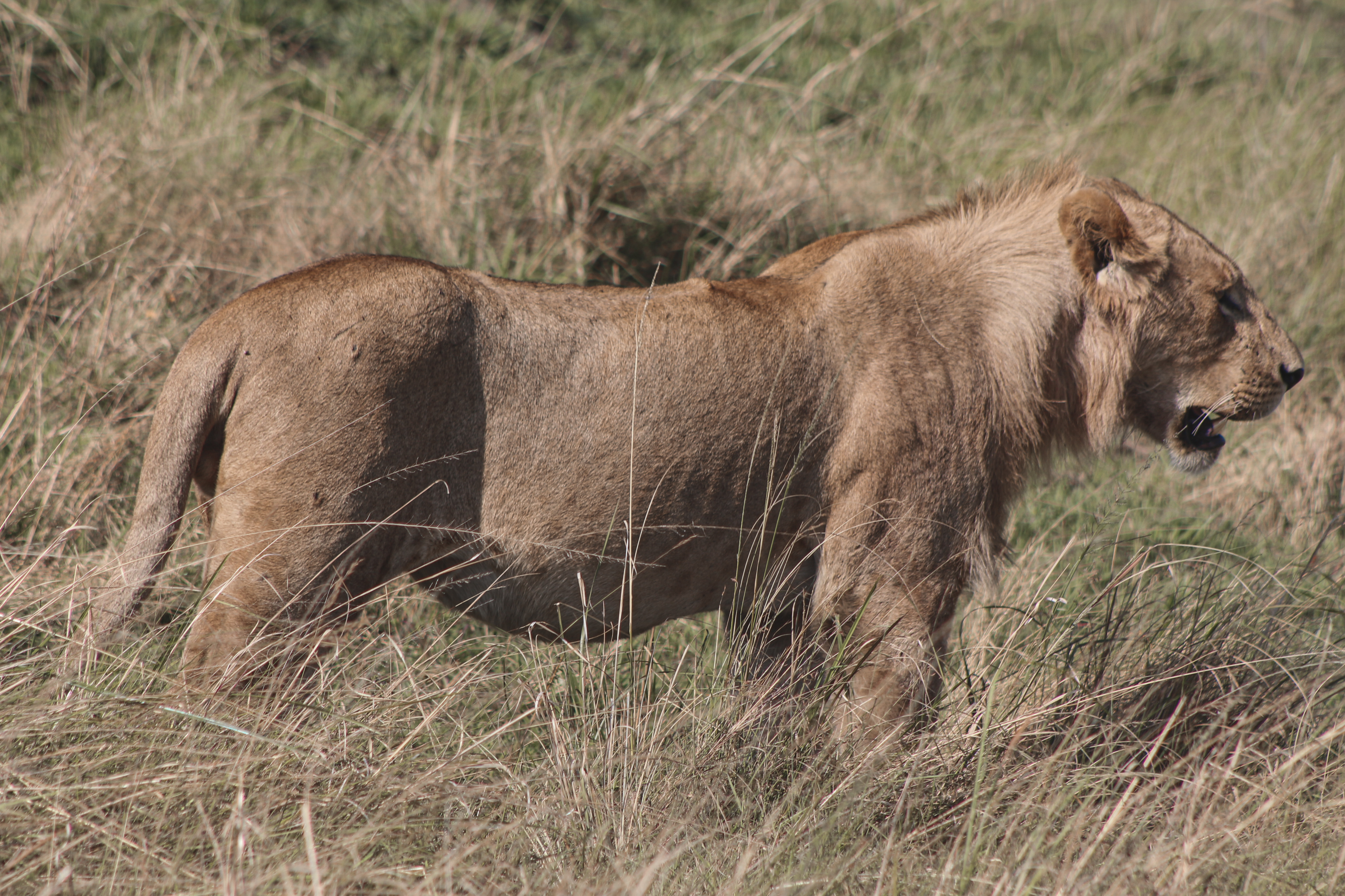  Zanzibar and Tanzania