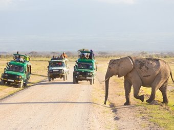 Tour package image