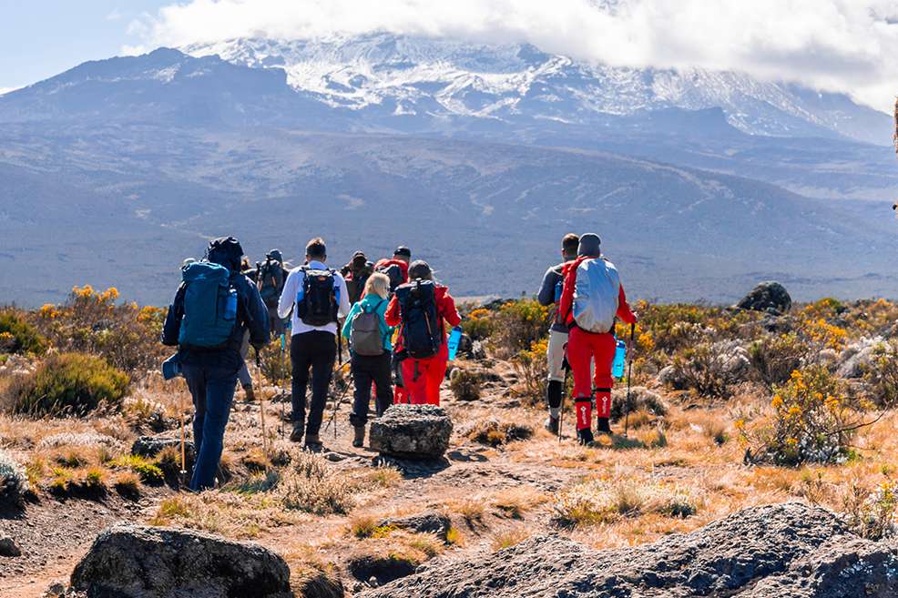 Kilimanjaro climbing tours shop