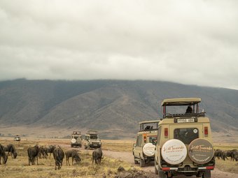 Tour package image
