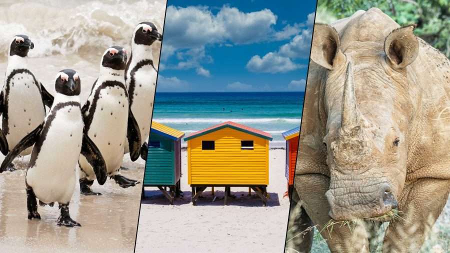 JENMAN Safaris