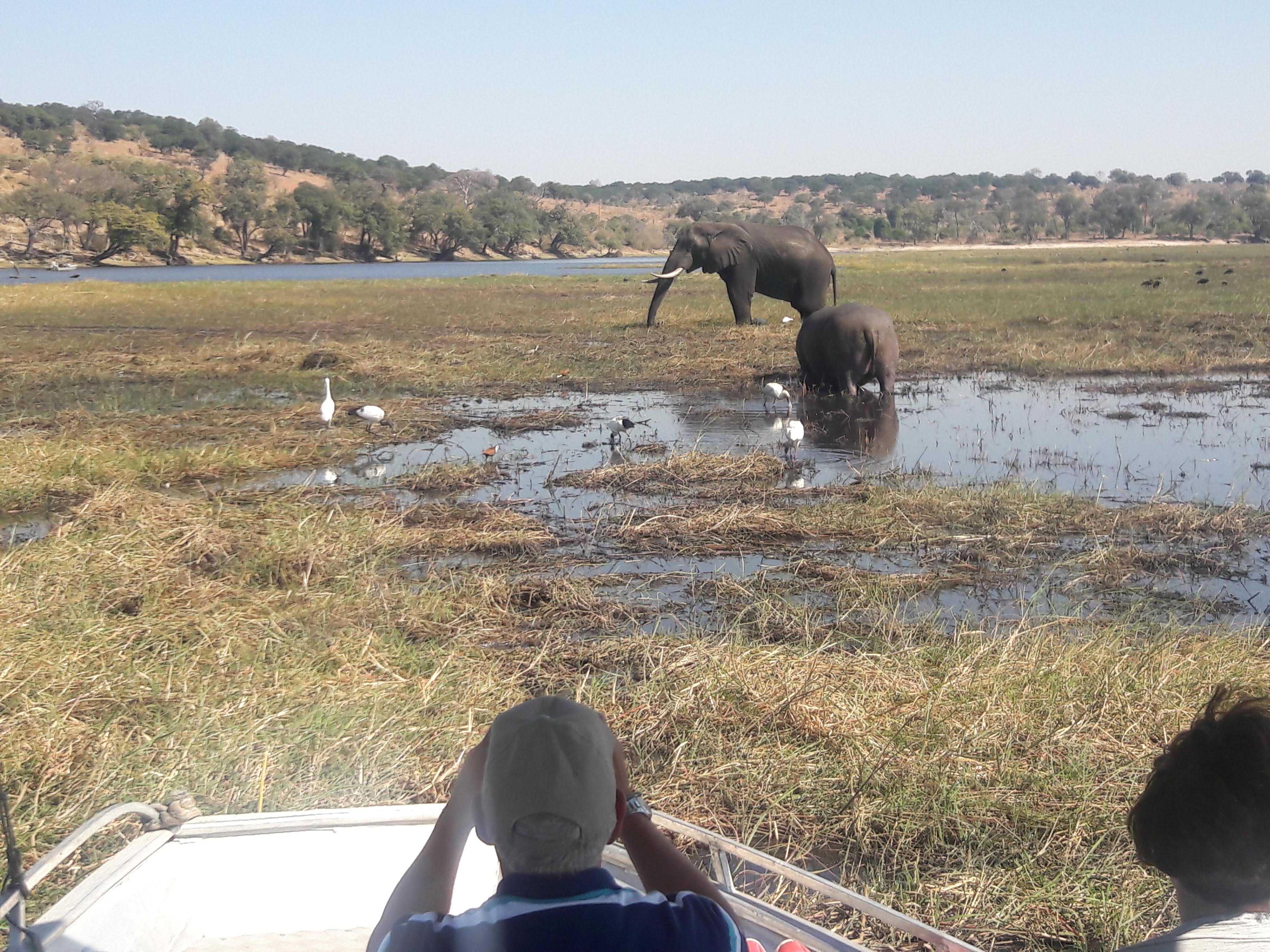 Zambia Explorations