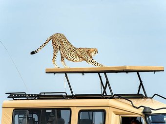 Tour package image