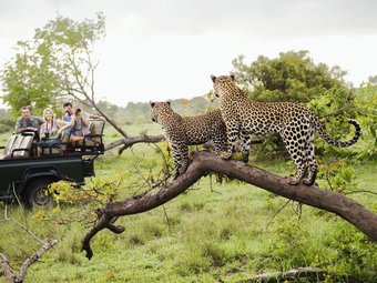 Tour package image