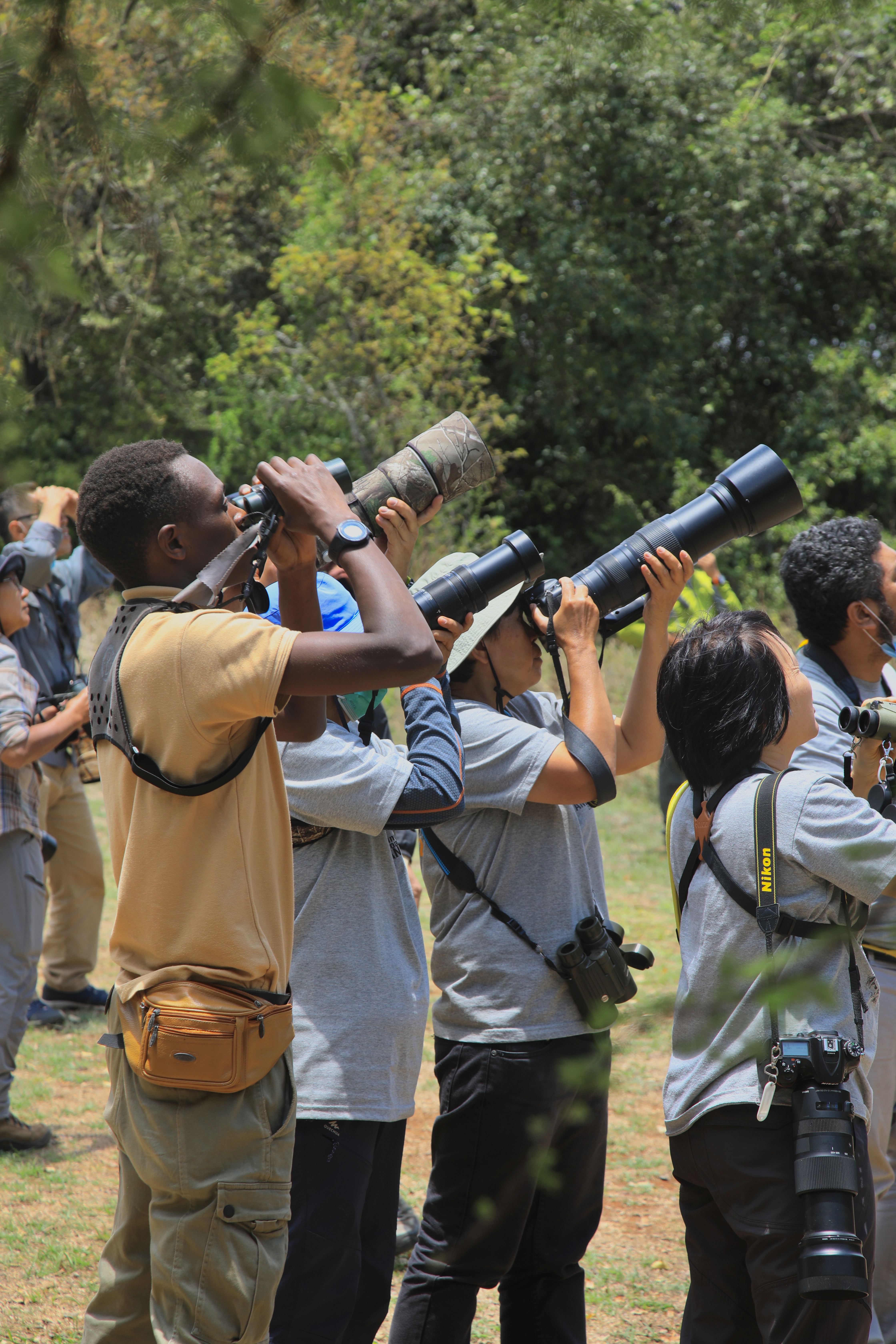 5 days—Bird Watching Tour In Rwanda